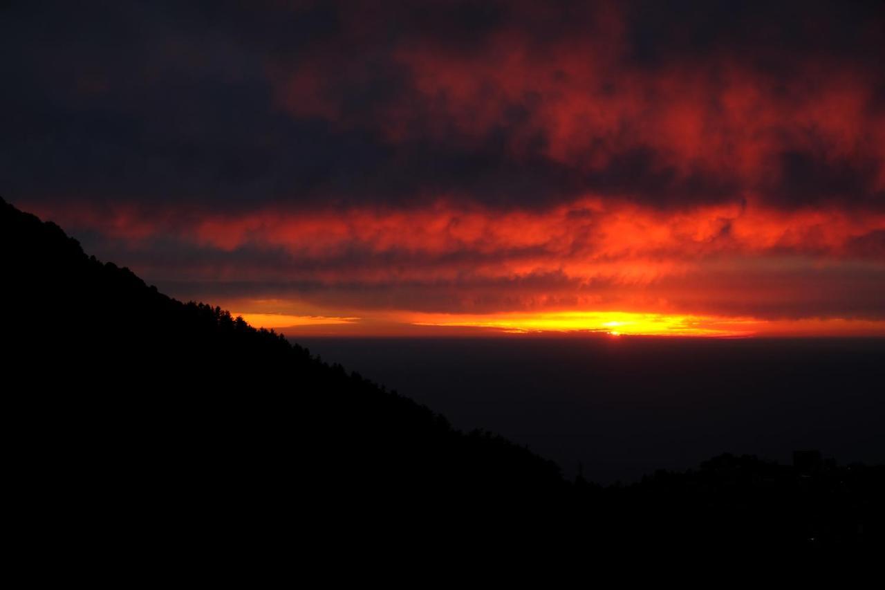 Mitra Mcleodganj Hostel McLeod Ganj Luaran gambar