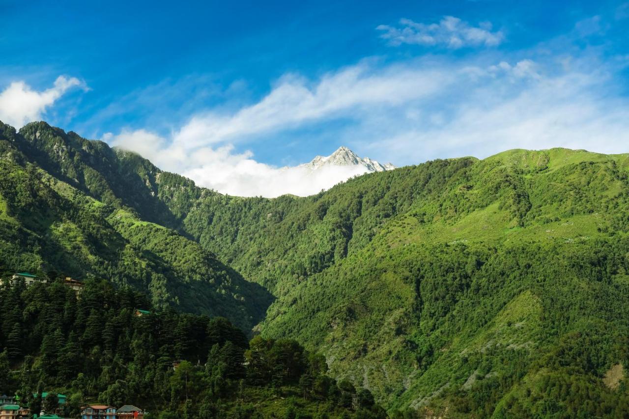 Mitra Mcleodganj Hostel McLeod Ganj Luaran gambar